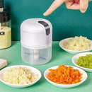 Mini Processador Triturador Elétrico Sem Fio 250ML Alimentos Para Vegetais Gengibre Alho - BrazilStory